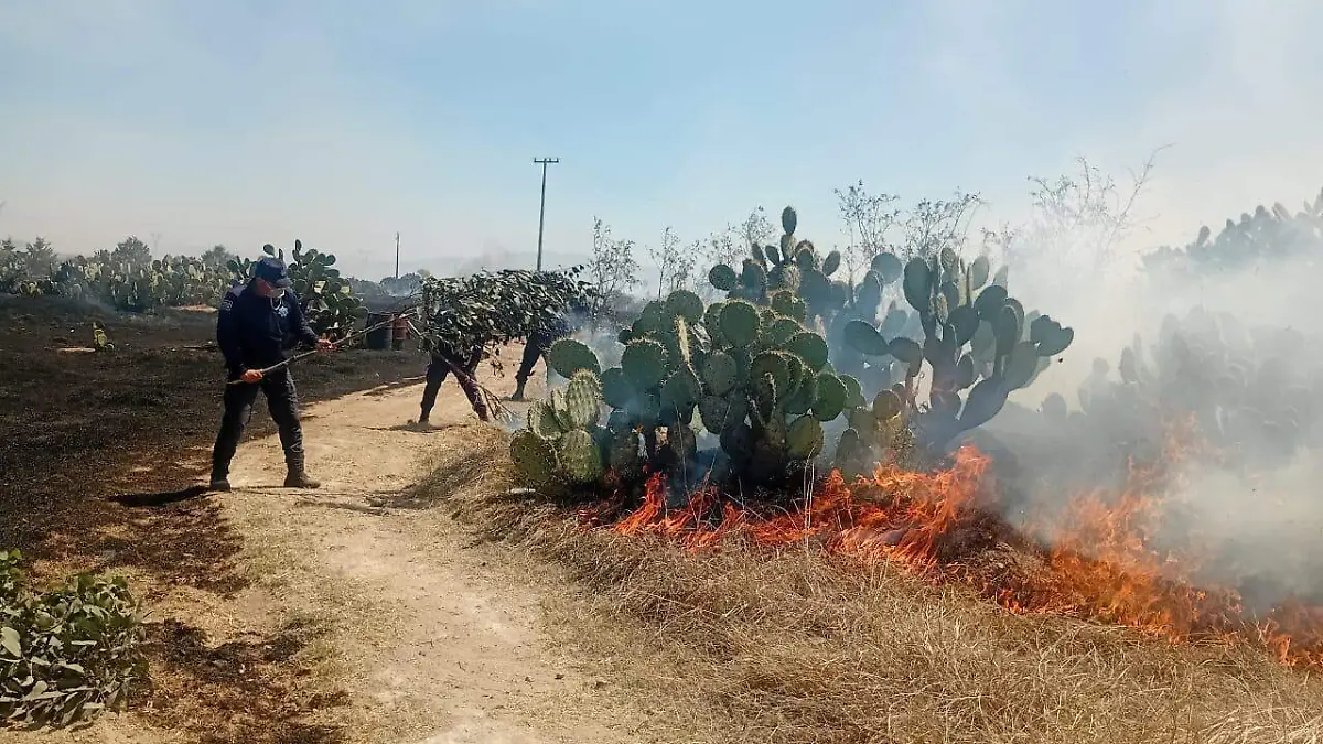 SJR_Incendios en la region